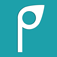 Perfection app icon