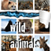 Earthy Wild Animal Sounds app icon