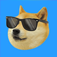DogeMatch app icon