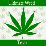 Ultimate Weed Trivia App icon