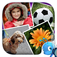 4 pics Kids Puzzle: Word Guess game for girls and boys ,Top brain teaser educational app with candy theme app icon