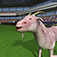 Goat Rush 3D Simulator App Icon