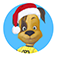 The Pooches Family app icon