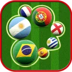 A 2014 Guess The World Football Soccer Cup Team Flag Quiz Trivia App Icon