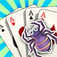 Spider Solitaire plus plus plus App Icon