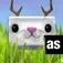 Tofu Hunter App icon