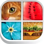 Close Up Pics Zoom Pop Quiz App Icon