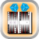 Classic Backgammon- The Master Of The Backgammon app icon