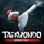 Taekwondo Game Global Tournament App icon