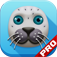 A Awkward Seal Flap PRO app icon
