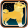 Much Doge Run 2 app icon