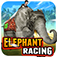 Elephant Racing Simulator app icon