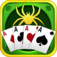 Green Spider plus app icon
