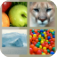 Pic-To-Word app icon