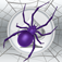 Spider Solitaire Free by Solebon app icon