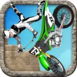 Temple Bike 3D App icon