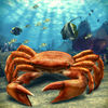 Scuba Kids: Hidden Treasures app icon