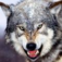狼人游戏助手(Werewolves of Miller's Hollow) app icon