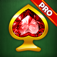 Spider solitaire: classic game PRO app icon