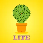 Lucky Cactus Mini App icon