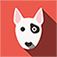Dog Breed Quiz app icon