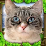 Stray Cat Simulator App Icon