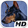 Doberman Simulator HD Animal Life app icon