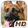 German Shepherd Simulator HD Animal Life app icon