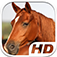 Horse Simulator HD Animal Life app icon