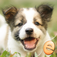 Jigsaw Wonder Puppies Puzzles for Kids app icon