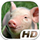 Pig Simulator HD Animal Life app icon