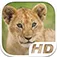Lion Cub Simulator HD Animal Life
