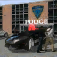 Crime City Real Police Driver App Icon