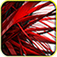 Game Pro app icon
