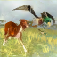 Bird Dog Chase Simulator app icon