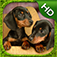 Dachshund Simulator app icon
