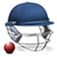 Cricket Captain 2015 App Icon