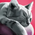 CatHotel - Care for cute cats App icon