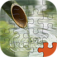 Jig-saw Puzzl Puzzle- Unscramble the Pic app icon