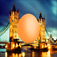 Egg in England app icon
