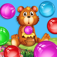 A Adorable Fuzzy Honey Bear Bubble Blaster app icon