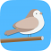 Bird Trivia app icon