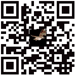 Bat Attack QR-code Download