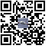 Airplane QR-code Download