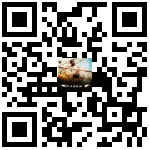 Dogfight QR-code Download