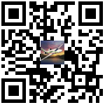 Airplane Fly Hawaii QR-code Download