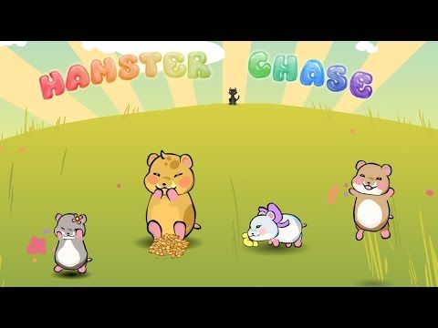 Video guide by : Hamster Chase  #hamsterchase