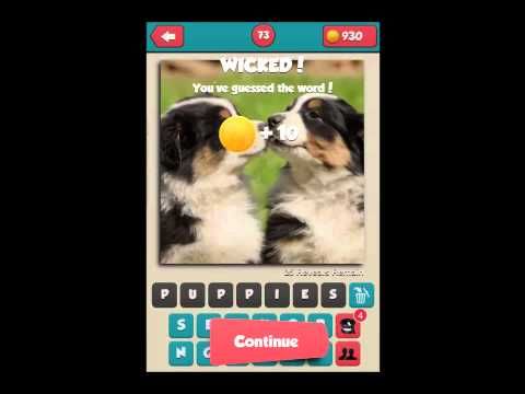 Video guide by Puzzlegamesolver: Pic What? Level 71-80 #picwhat