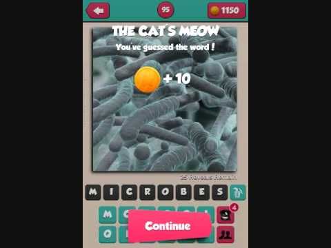 Video guide by leonora collado: Pic What? Level 91-100 #picwhat
