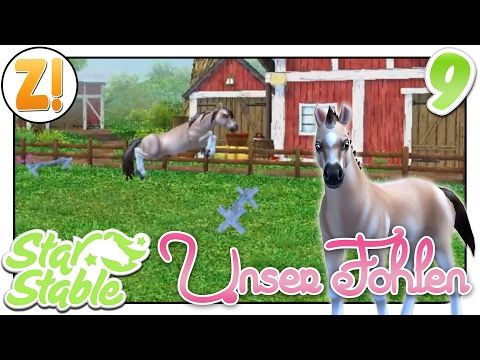 Video guide by zaaap!: Star Stable Horses Level 10 #starstablehorses